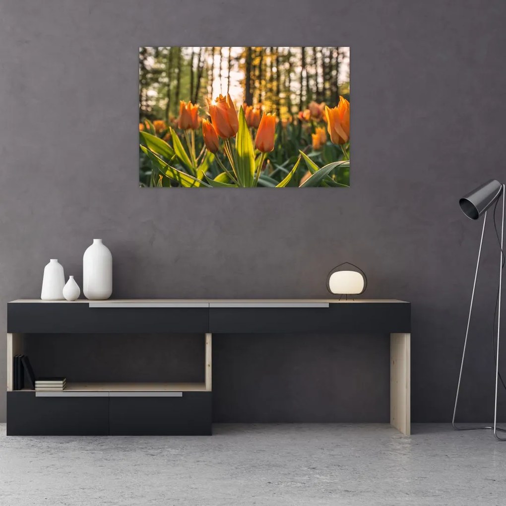 Tablou - florile lalelelor (90x60 cm)