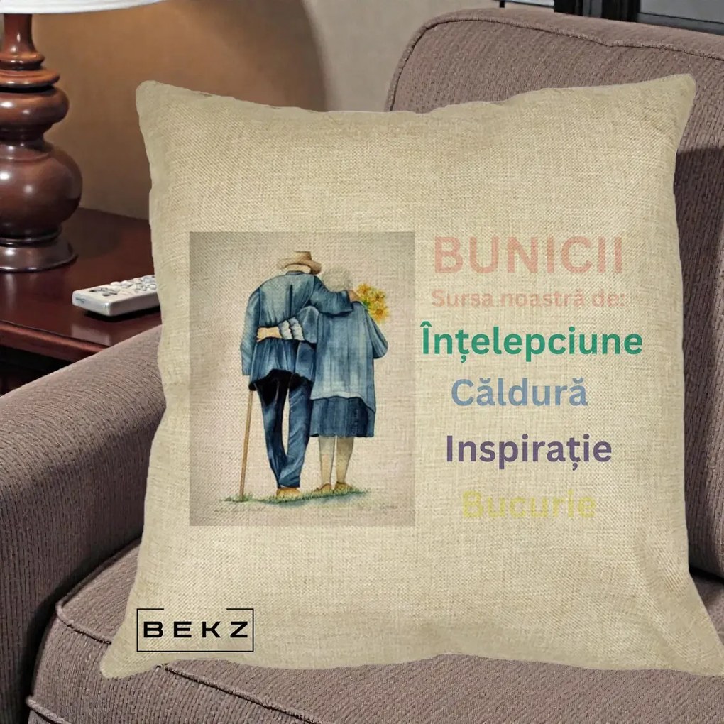 Cadou pentru Bunici - Perna Personalizata Bunicii Sursa Intelepciune Caldura Acuarela, 40x40 cm, Crem, Husa Detasabila, Perna Inclusa, BEKZ®
