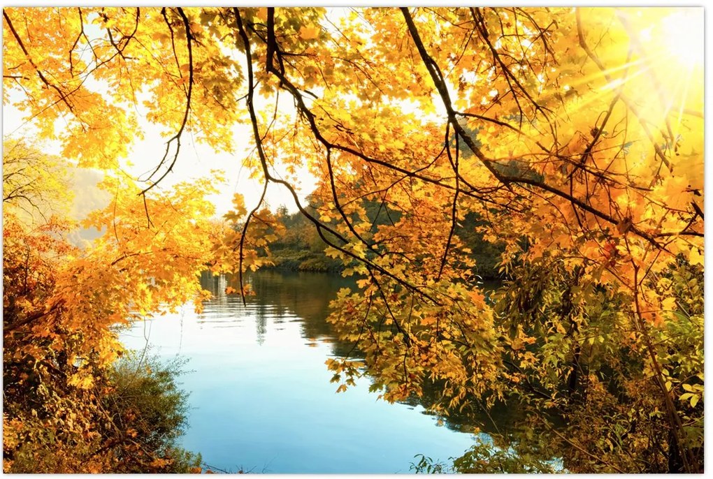 Tablou - Copac de toamnă (90x60 cm)