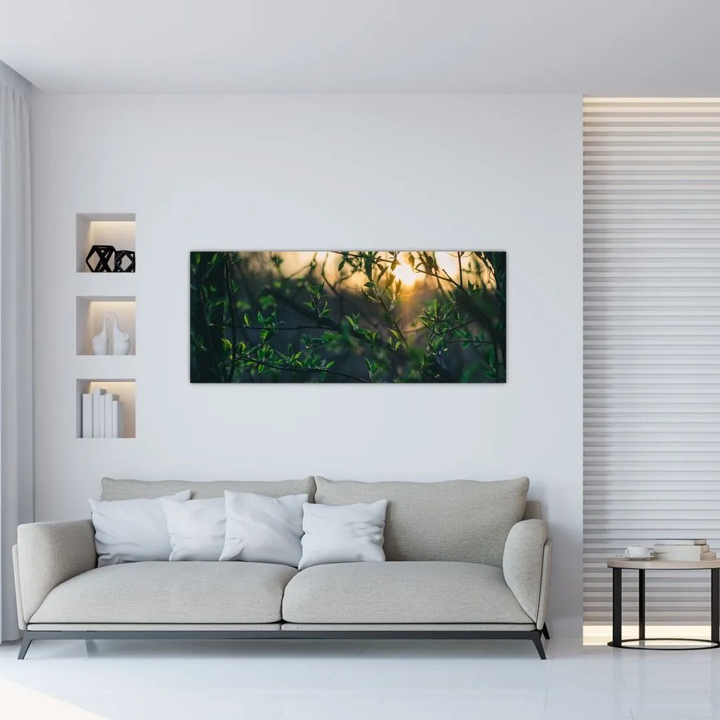 Tablou - Soarele strălucind printre crengile copacilor (120x50 cm)