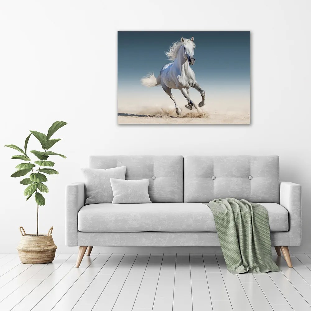Tablou pe pânză Cal alb în galop