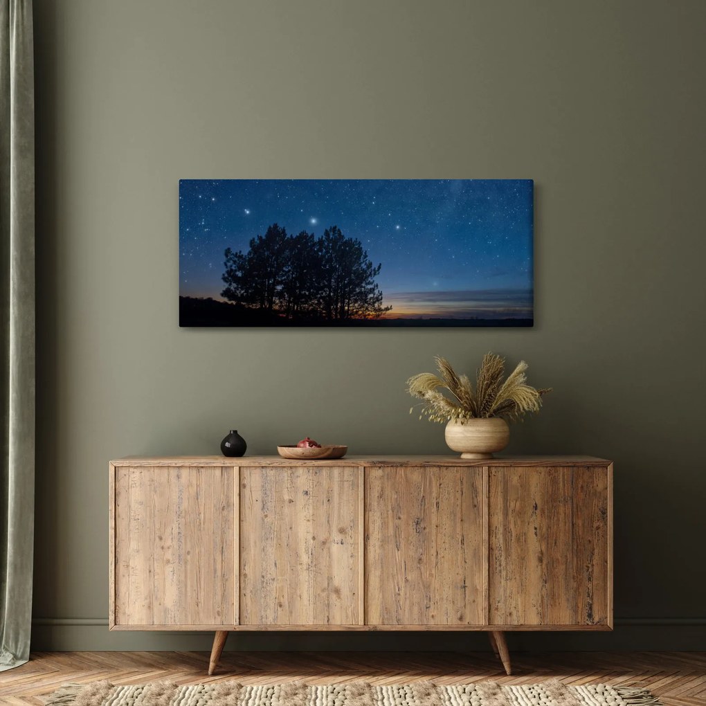 Tablou cu copaci noapte (120x50 cm)