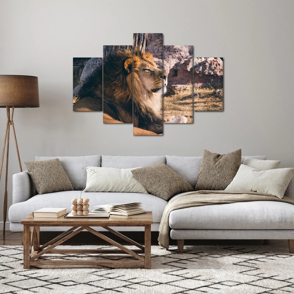 Tablou cu leul dormind (150x105 cm)