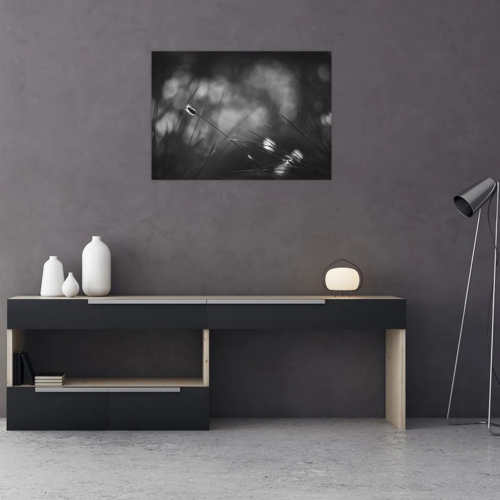 Tablou pe sticlă - Iarbă de pajiște (70x50 cm)