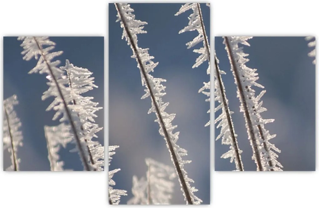Tablou - Îngheț (90x60 cm)
