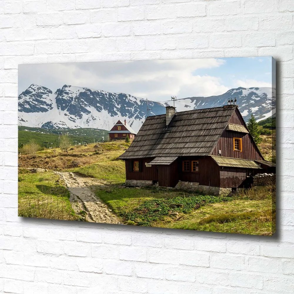 Tablou pe pânză Hale tatry