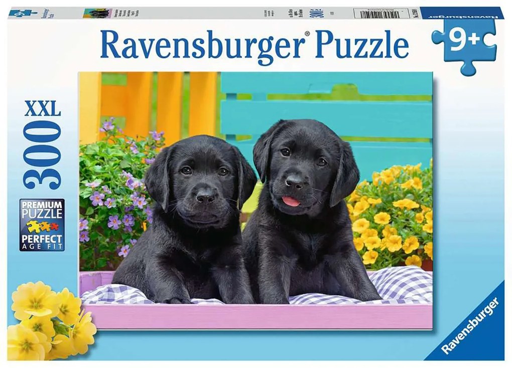 PUZZLE CATELUSI, 300 PIESE - RAVENSBURGER (RVSPC12950)