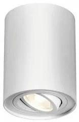 Spot aplicat/plafoniera GU10 BH04-00200 Braytron