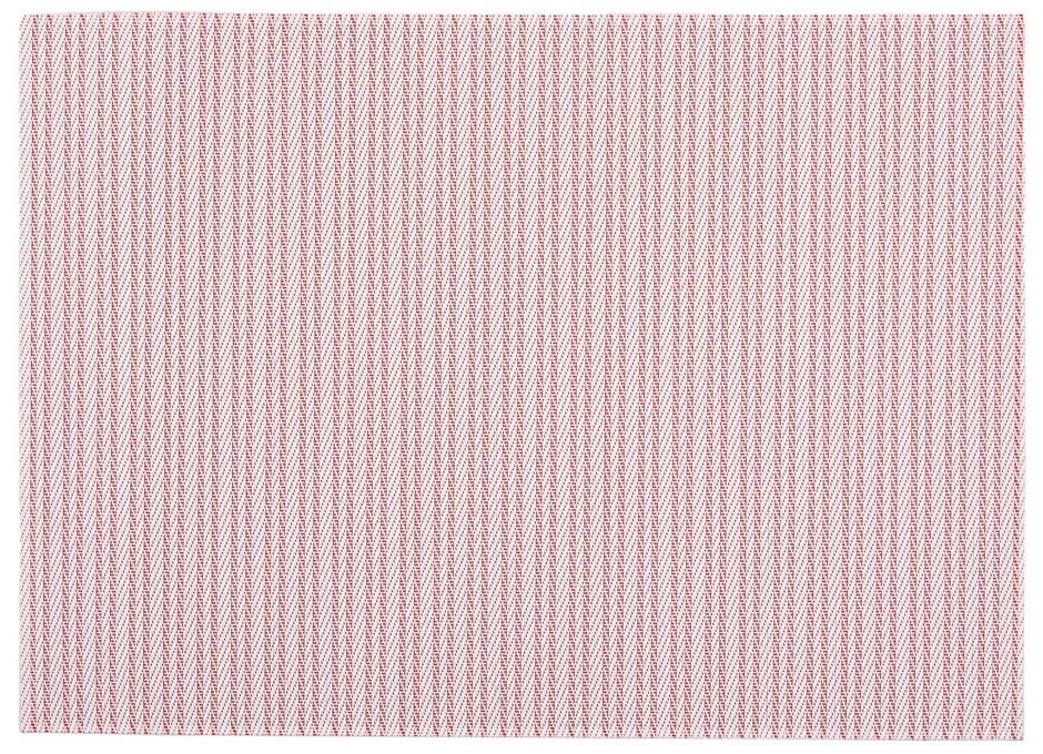 Suport pentru farfurii din plastic 33x45 cm Fallon – ZicZac