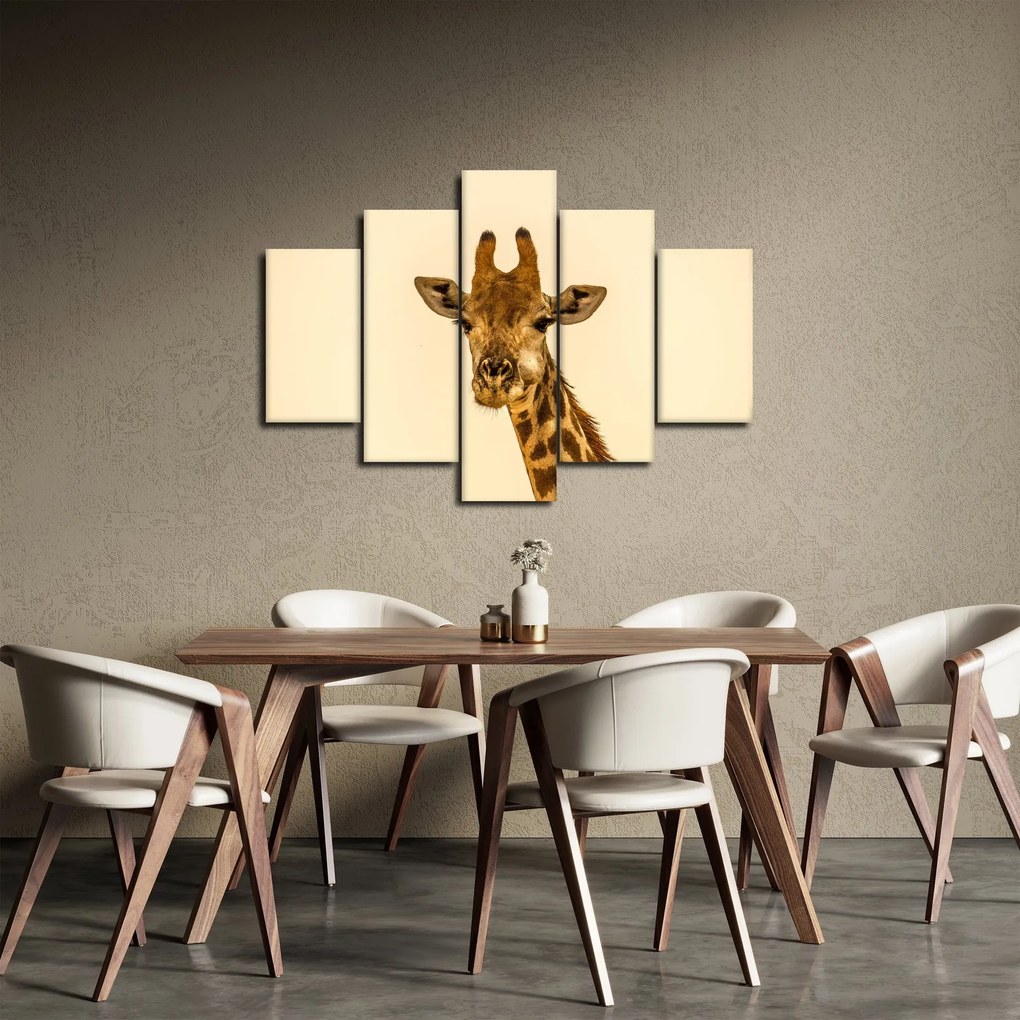 Tablou cu girafe (150x105 cm)