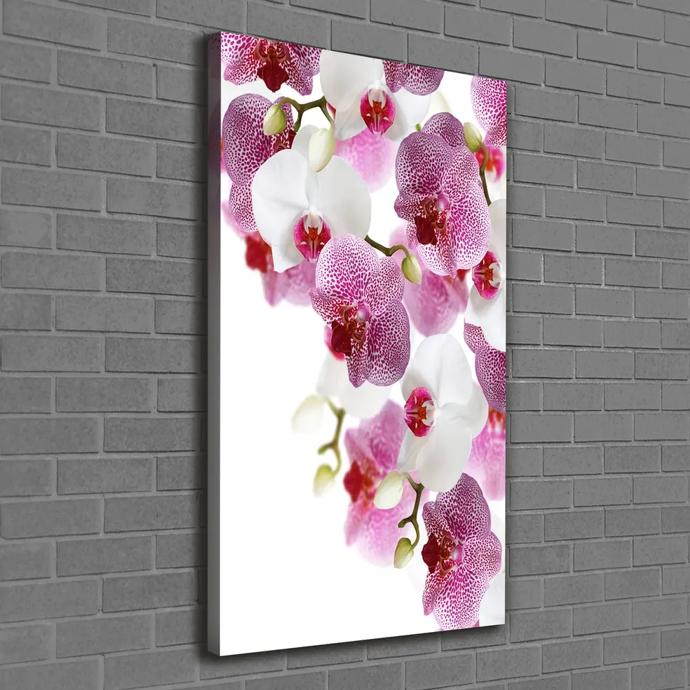Tablou canvas Orhidee