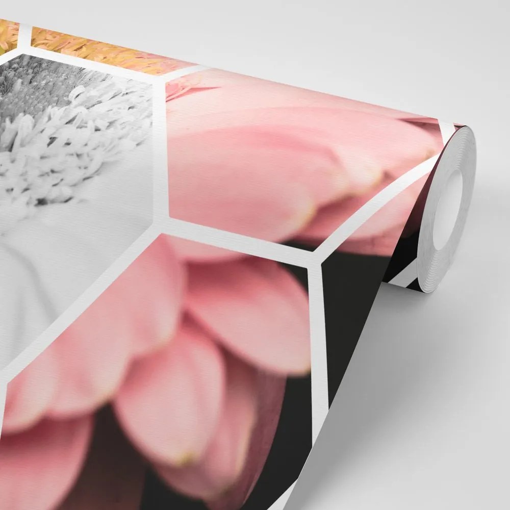 Tapet gerbera într-un hexagon