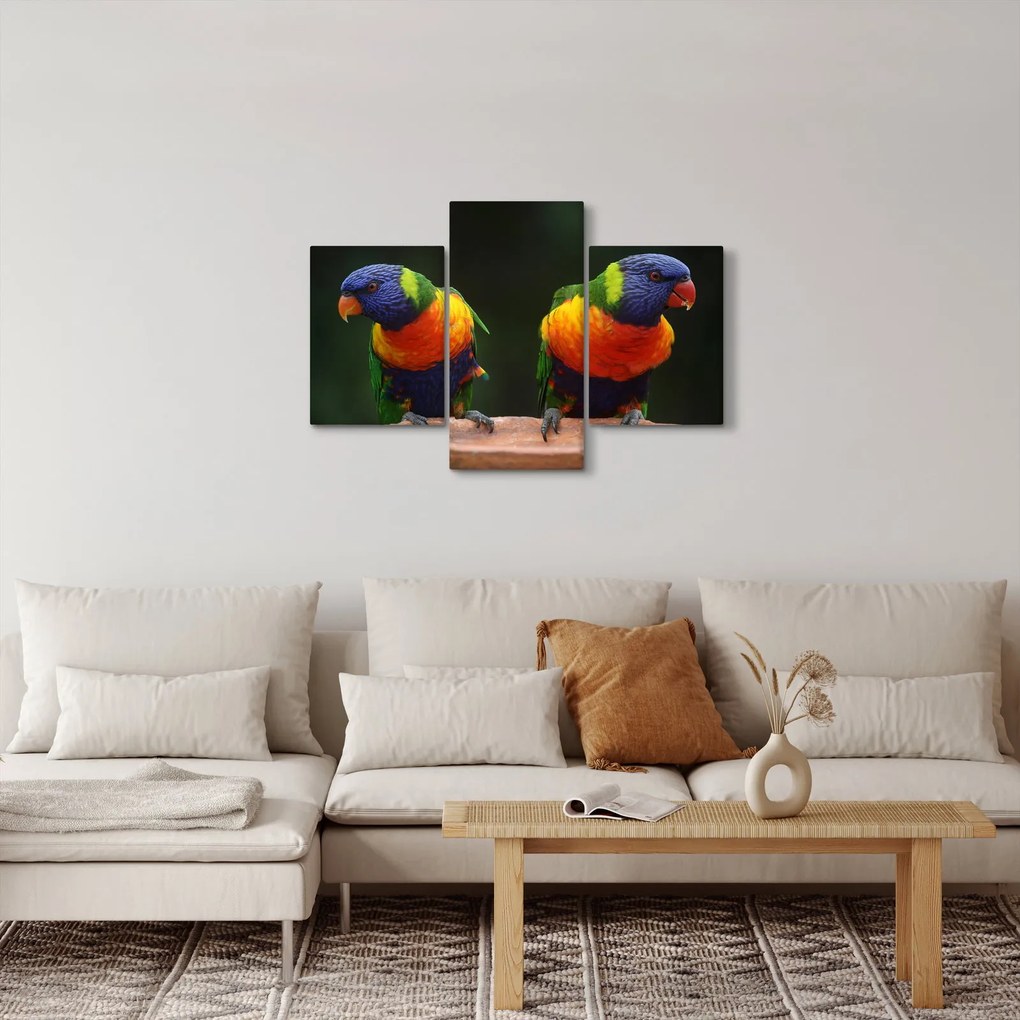 Tablou cu papagali (90x60 cm)