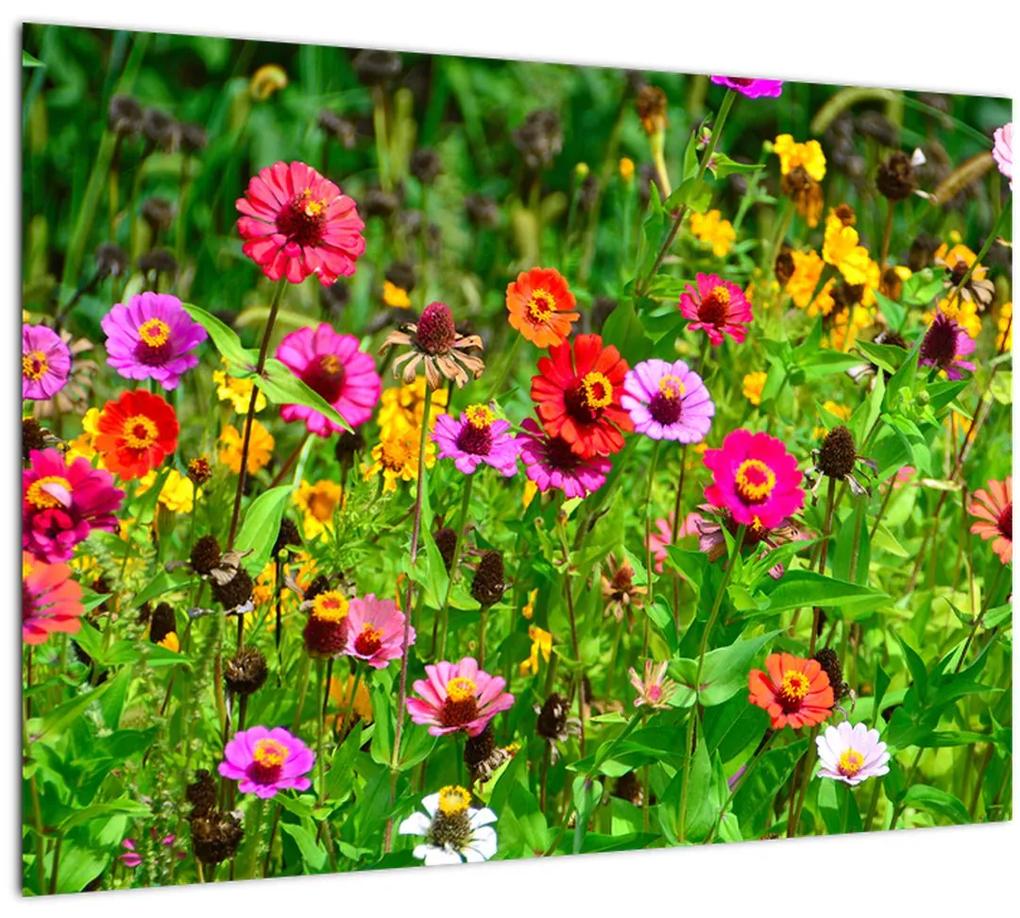 Tablou cu flori de luncă (70x50 cm), în 40 de alte dimensiuni noi