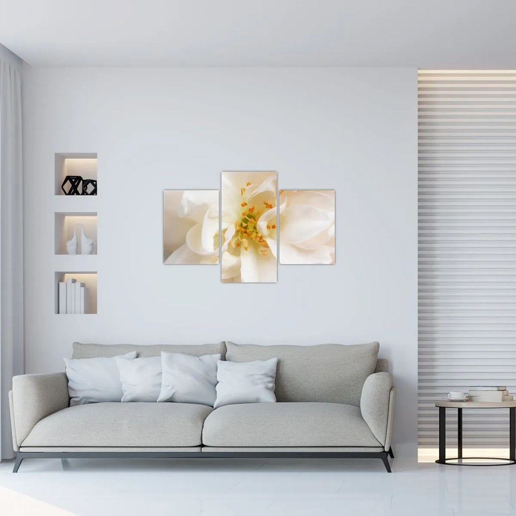 Tablou - Floare (90x60 cm)