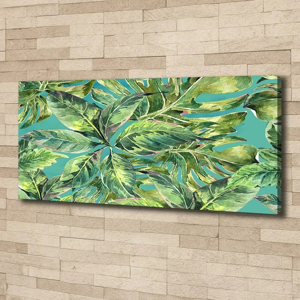 Tablou pe pânză canvas Frunze tropicale