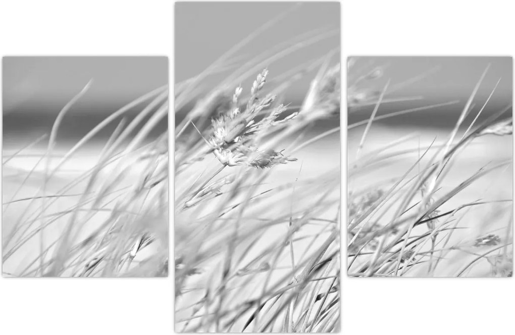 Tablou - Iarbă de plajă (90x60 cm)