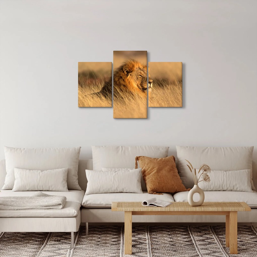 Tablou - Parcul Național Etosha (90x60 cm)