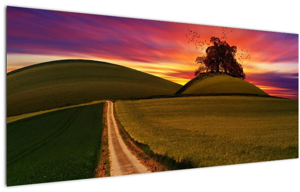 Tablou câmpului cu apus de soare (120x50 cm), în 40 de alte dimensiuni noi