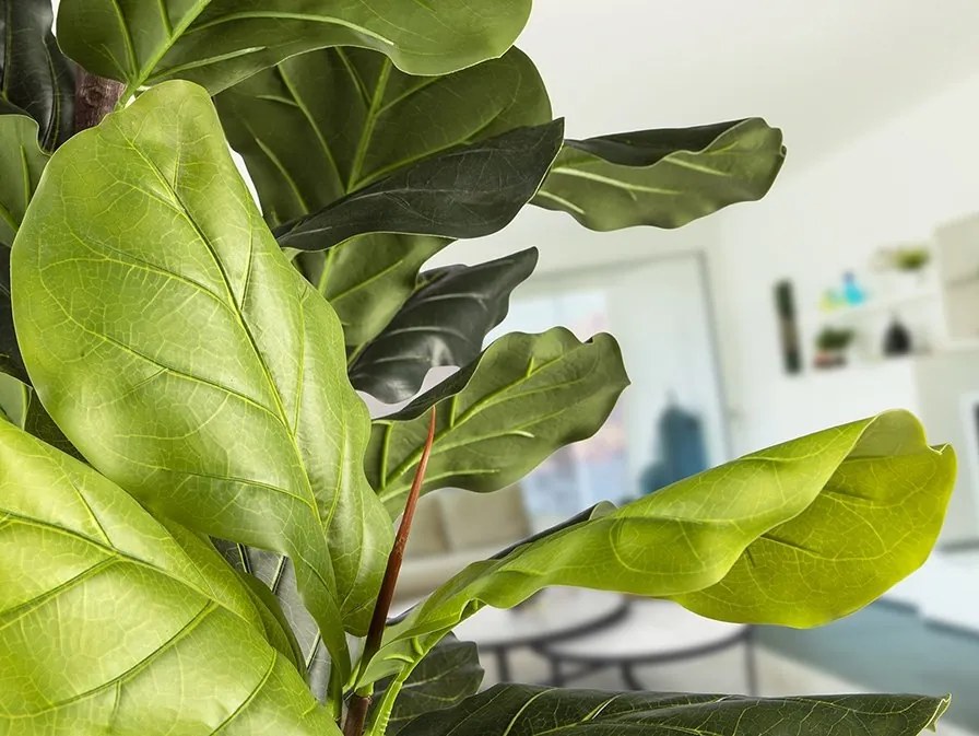 Planta artificiala decorativa Higuera violin, H250