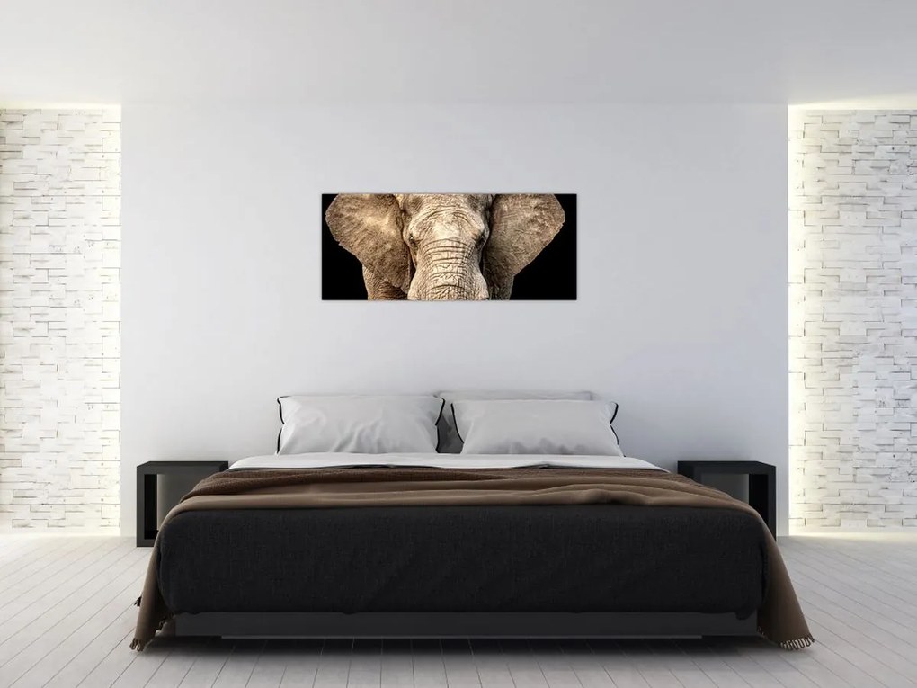 Tablou - Elefant african (120x50 cm)