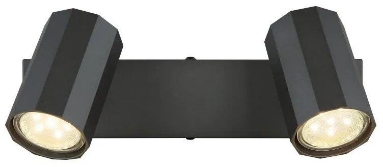 Plafoniera cu 2 Spoturi directionabile metal negru JAMES