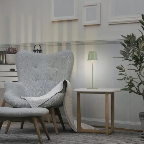 Lampă LED reîncărcabilă de exterior Leuchten Direkt 19250-43 EURIA LED/3W/5V IP54