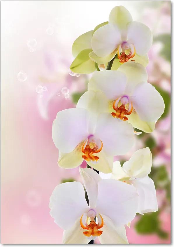 Tablou acrilic Alb orhidee