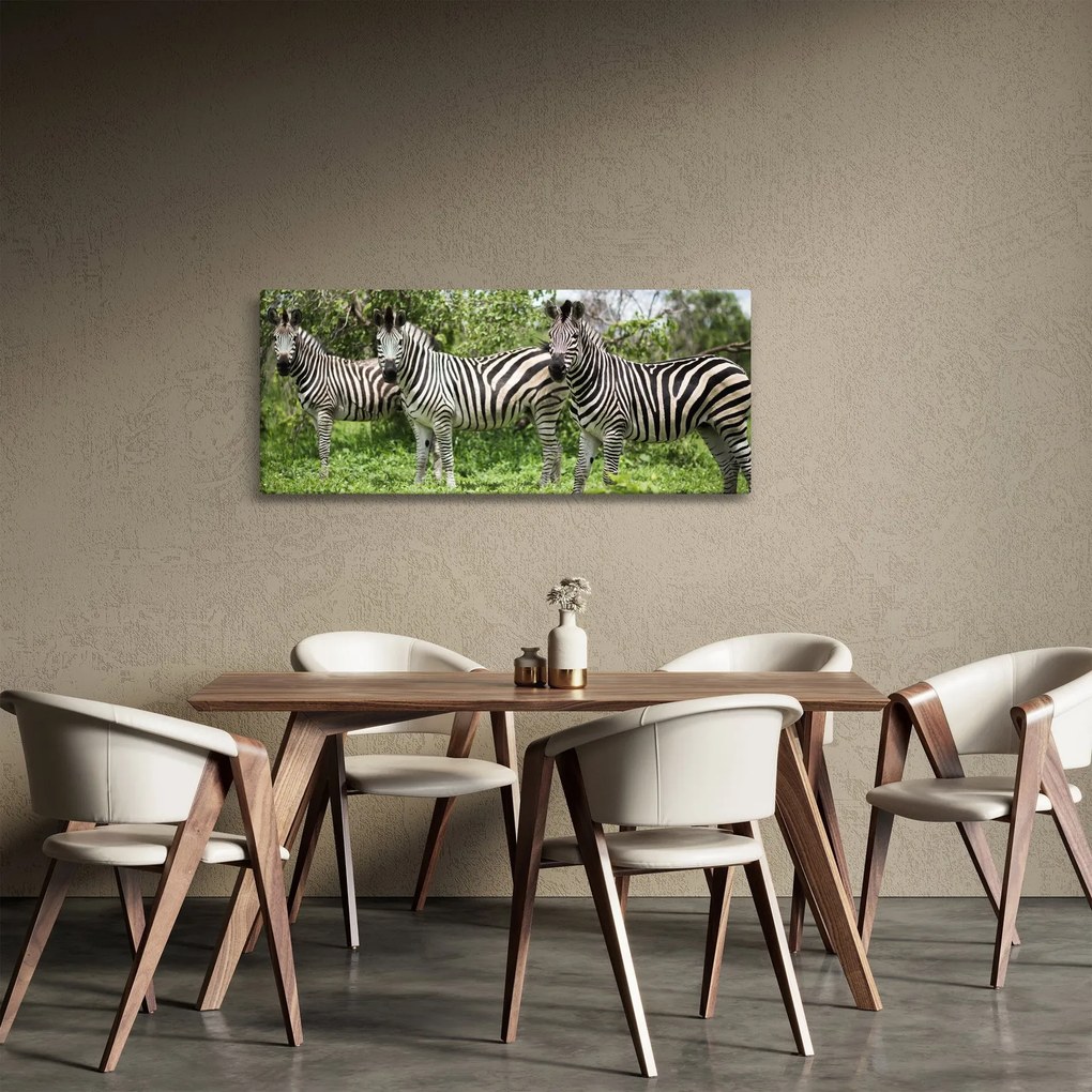 Tablou cu zebre (120x50 cm)