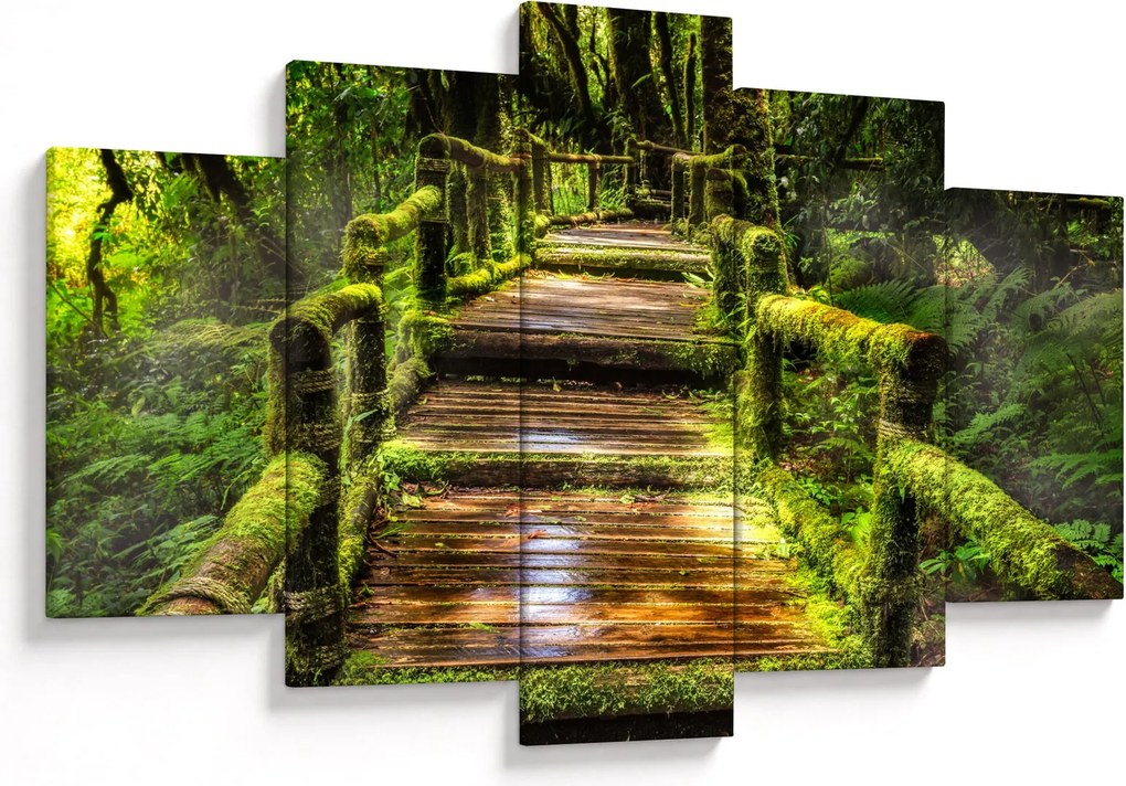 Tablou cu scări într-o pădure tropicală (150x105 cm)
