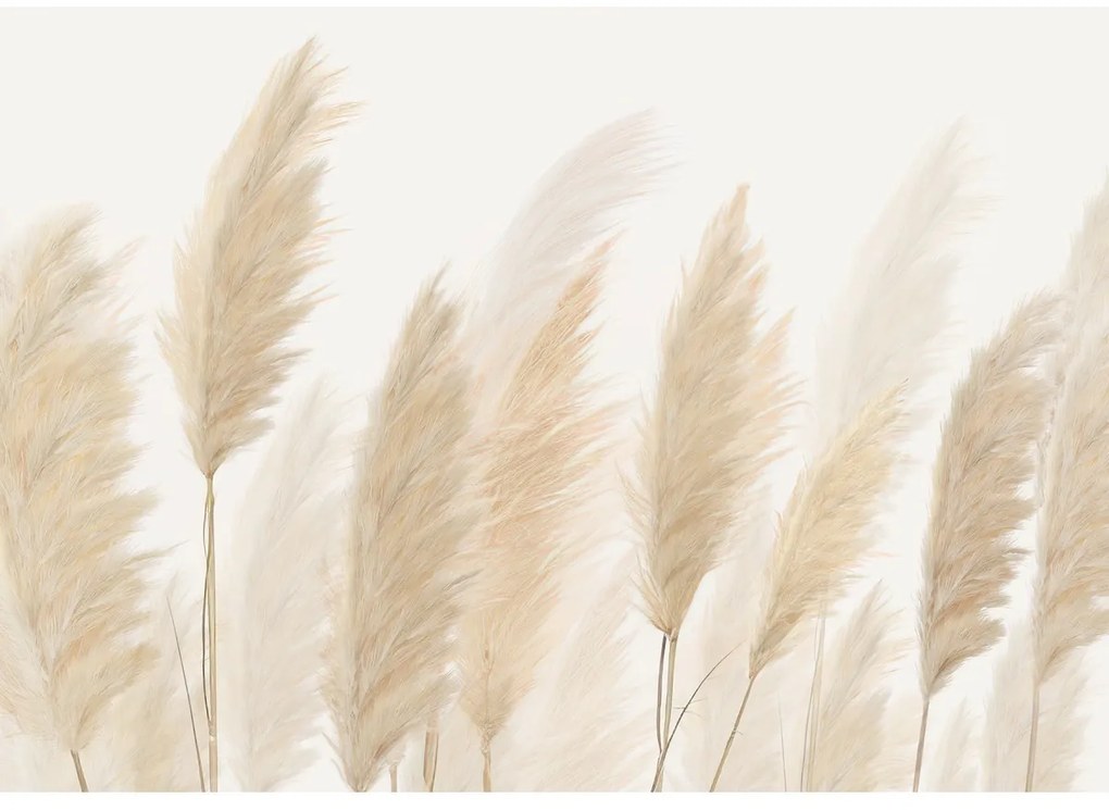 Fototapetă XXL Pampas 360 x 254 cm, 4 părți