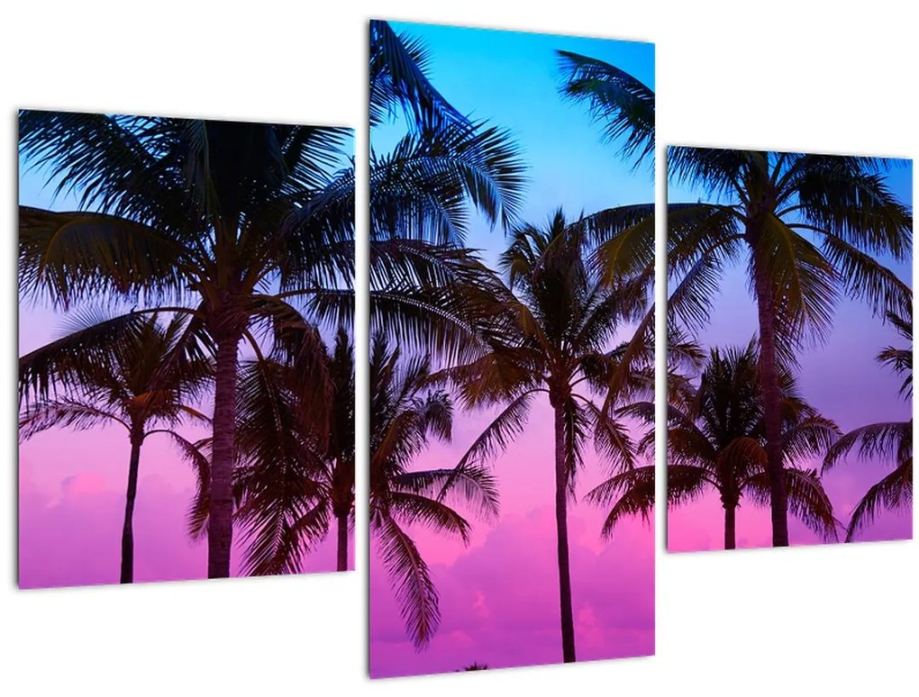 Tablou - Palmieri din Miami (90x60 cm)