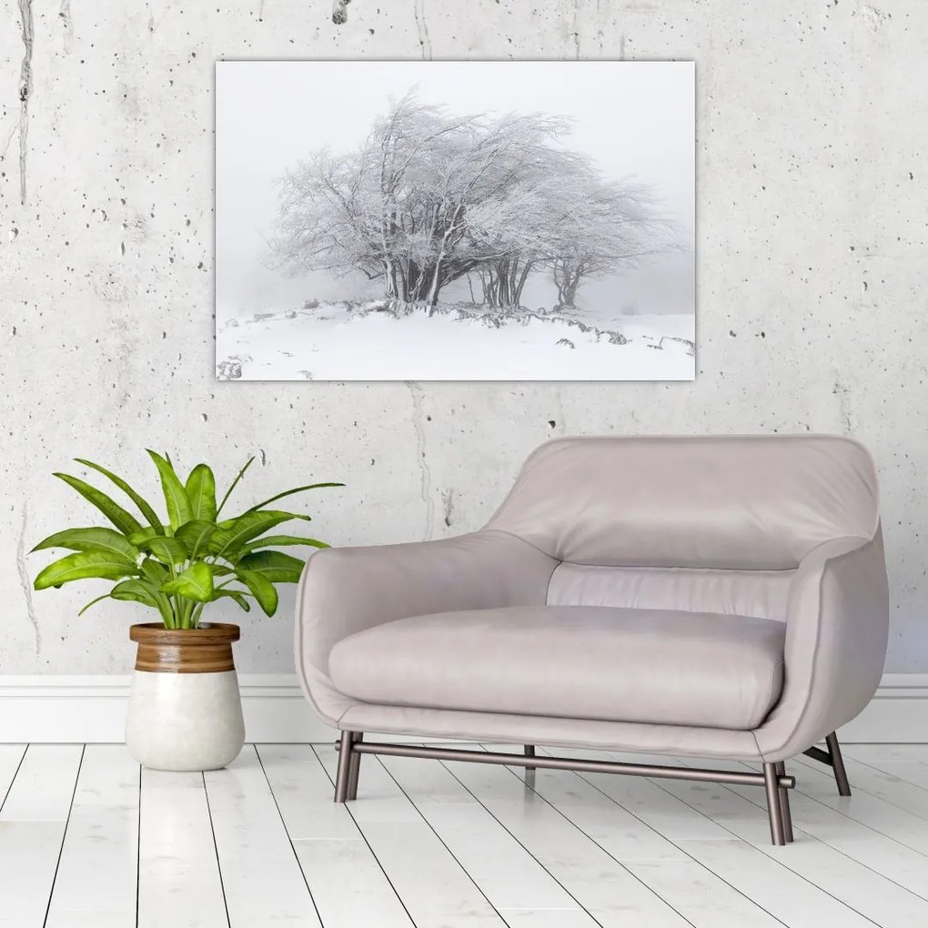 Tablou - Iarnă albă (90x60 cm)