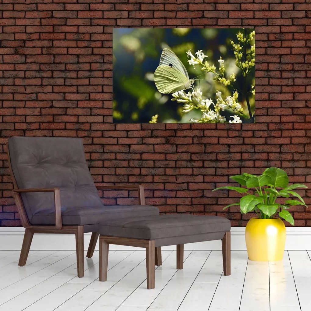 Tablou cu fluture (90x60 cm)