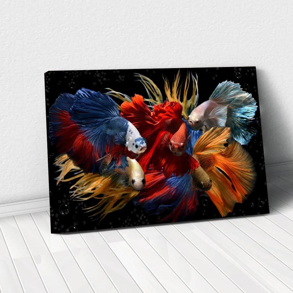 Tablou Canvas - Fancy Fish 70 x 110 cm