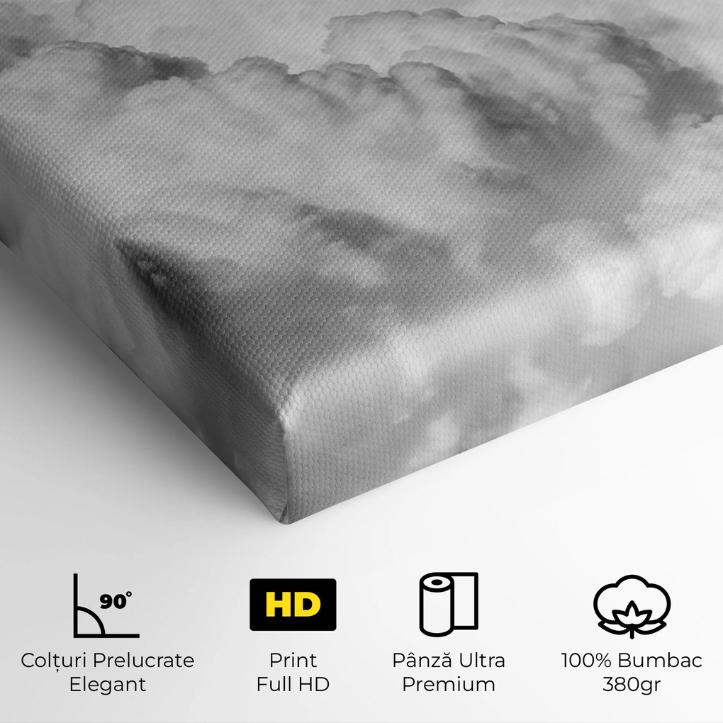 Tablou Canvas, 50x70cm, Dormitor si Living, Peisaje, Nori, Grey Cloudy Sky