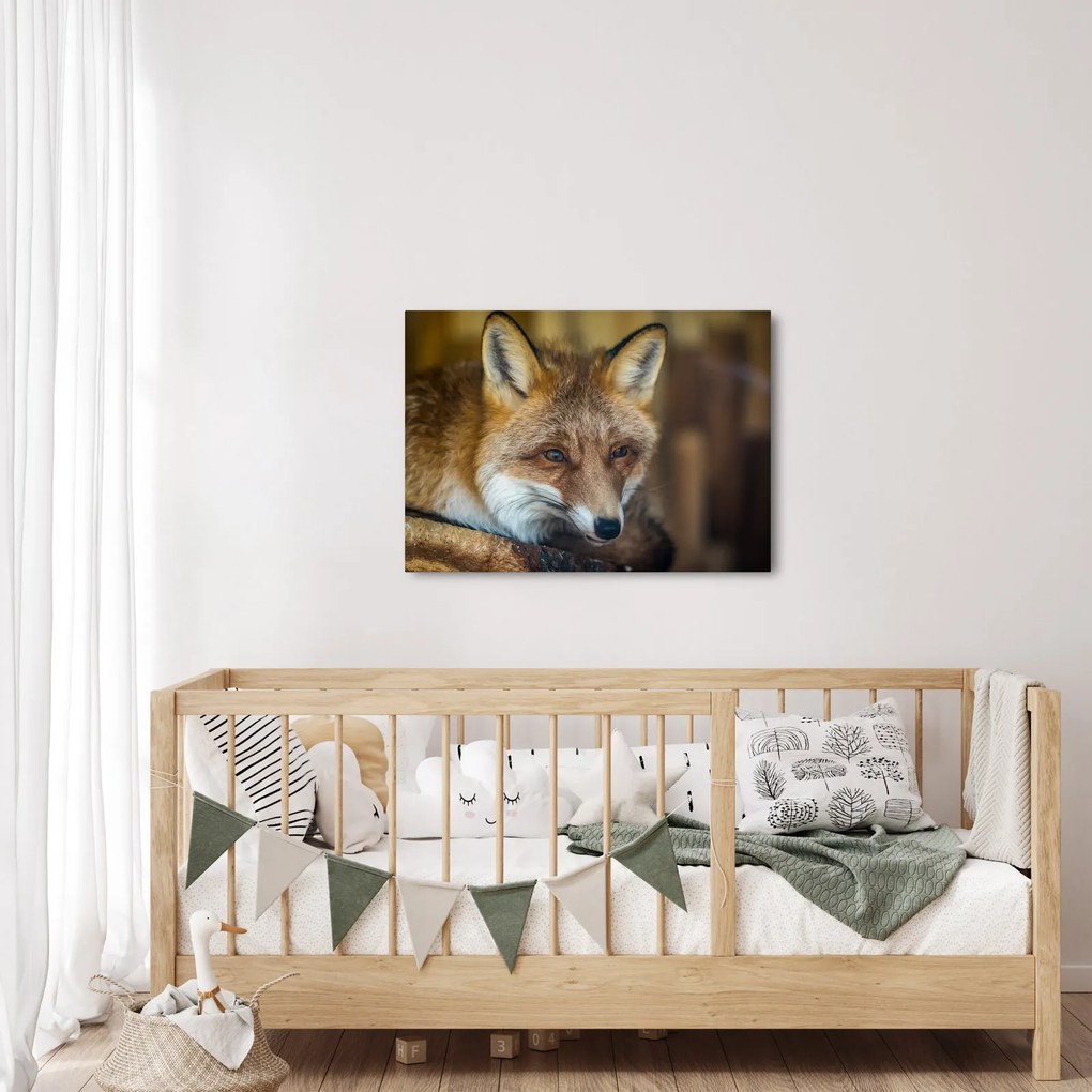 Tablou cu vulpe (70x50 cm)