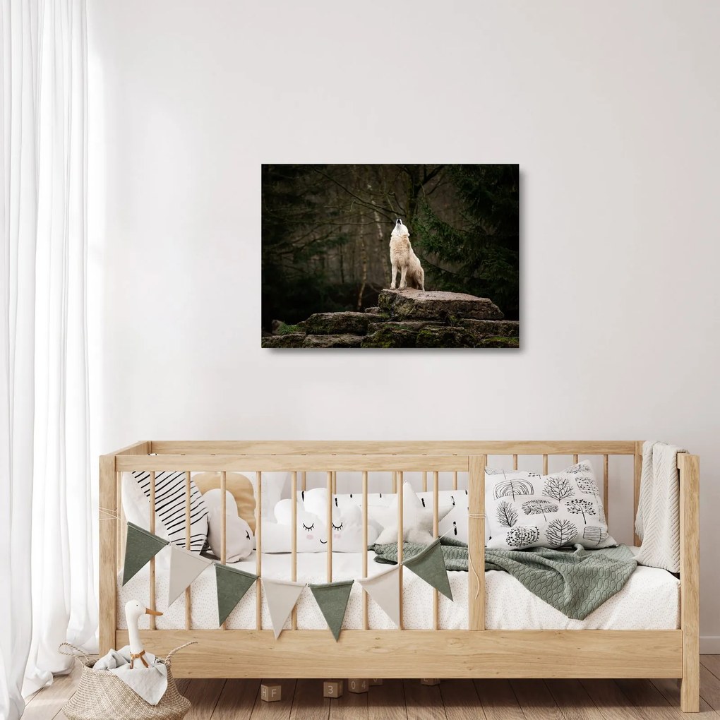Tablou pe sticlă - Urletul lupului (70x50 cm)