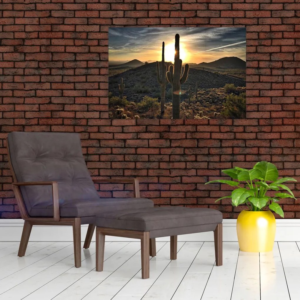 Tablou - cactușii la soare (90x60 cm)