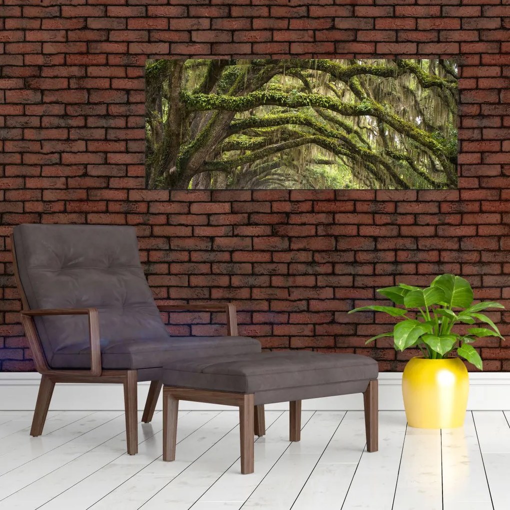 Tablou - Oaks Avenue, Charleston, Carolina de Sud, SUA (120x50 cm)