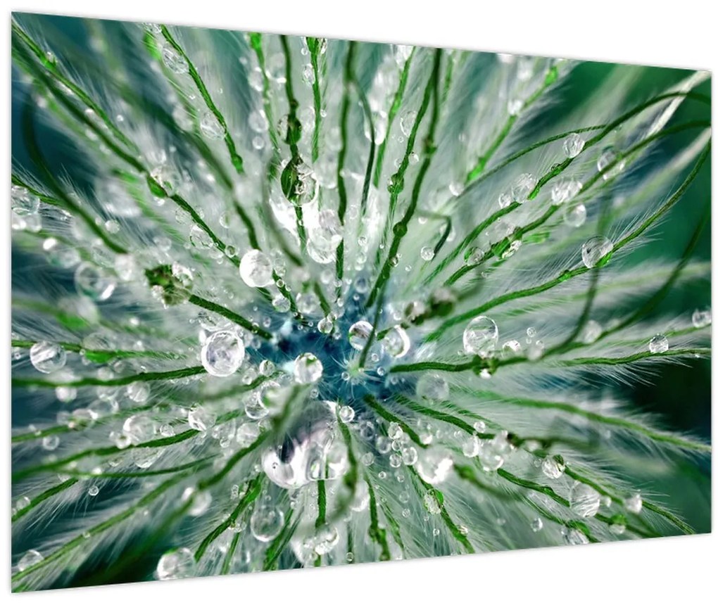 Tablou - Imagine macro a unei flori (90x60 cm)