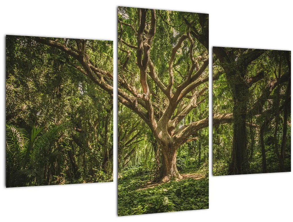 Tablou cu copaci (90x60 cm)