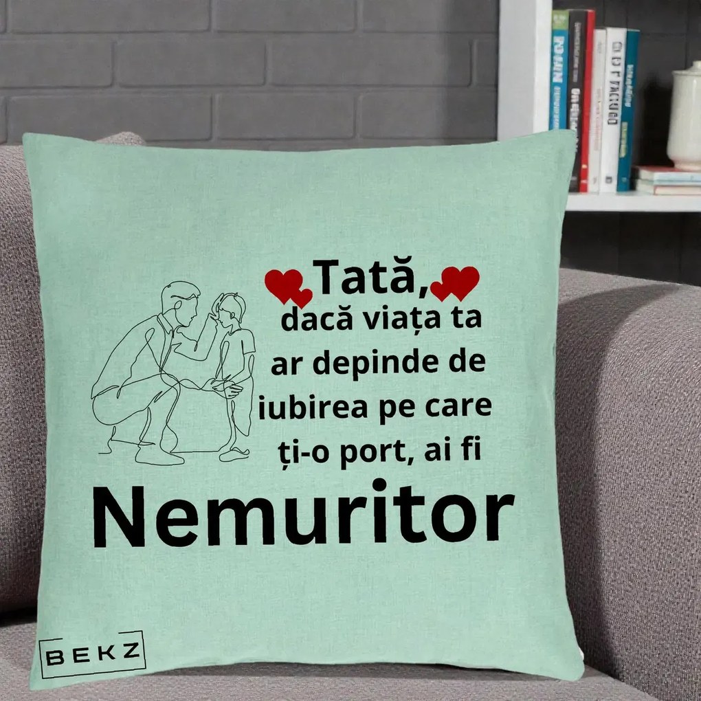 Cadou pentru Tata - Perna Personalizata Tata Nemuritor Baietel, 40x40 cm, Verde Menta, Husa Detasabila, Perna Inclusa, BEKZ®