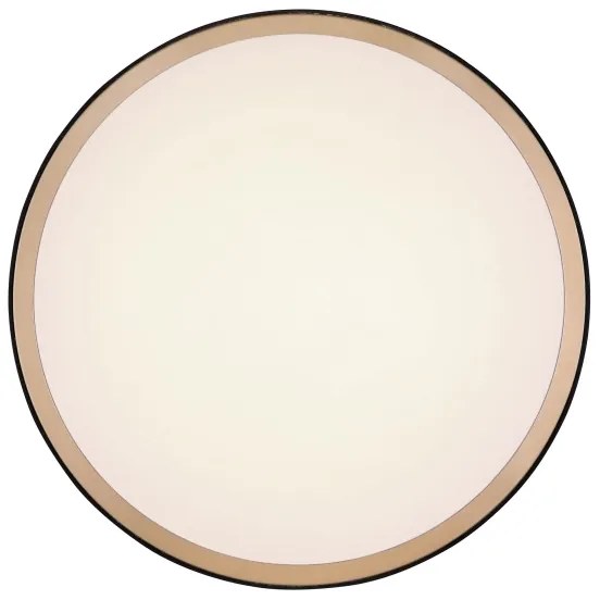 Plafonieră LED SAMMI LED/12W/230V 3000/4500/6000K Globo 41765-12