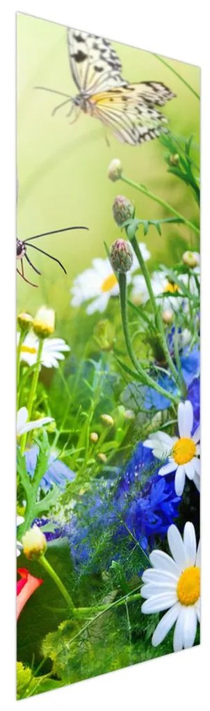 Fotojaluzele R012220R57150 (57x150 cm)