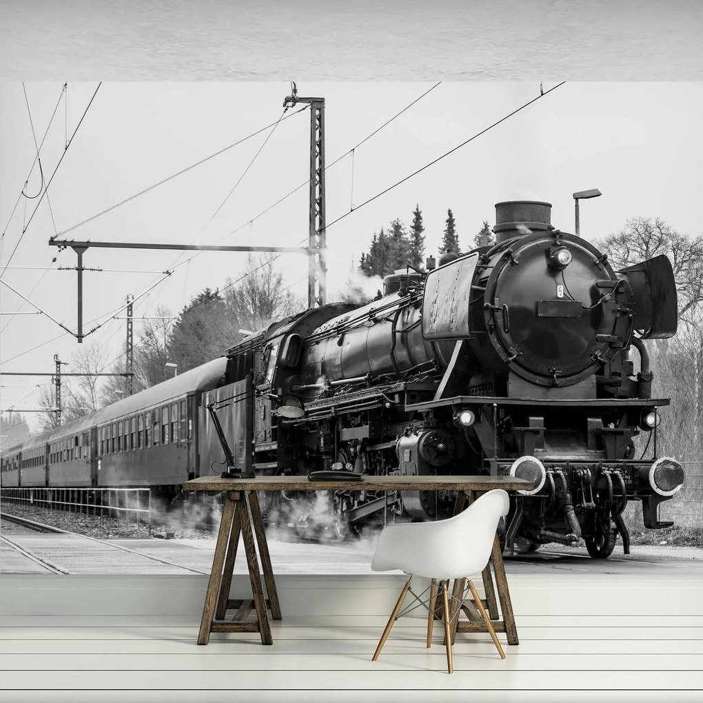 Fototapet - Locomotiva cu aburi (254x184 cm)