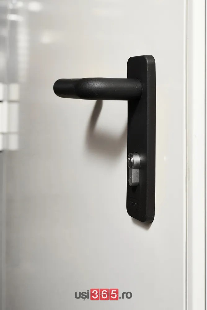 Usa antifoc EI60 120 - NON-Standard cu inaltime 1800 2400 2650 mm RAL 9010, 800, 1800, 60, DR, Simpla