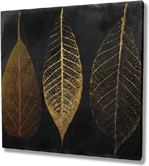 Tablou pe pânză Autumn Leaves, 45 x 45 cm