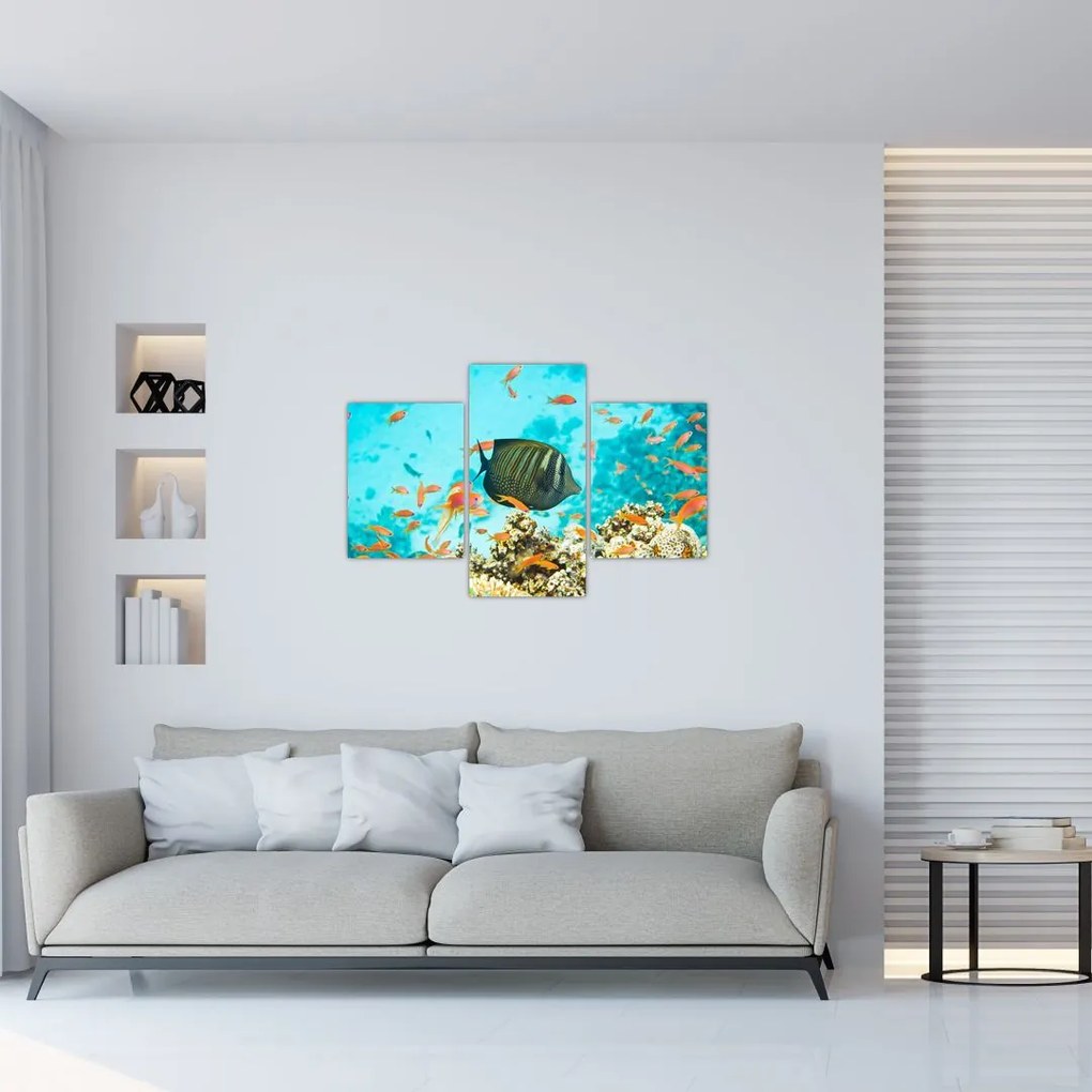 Tablou lumii submarine (90x60 cm)