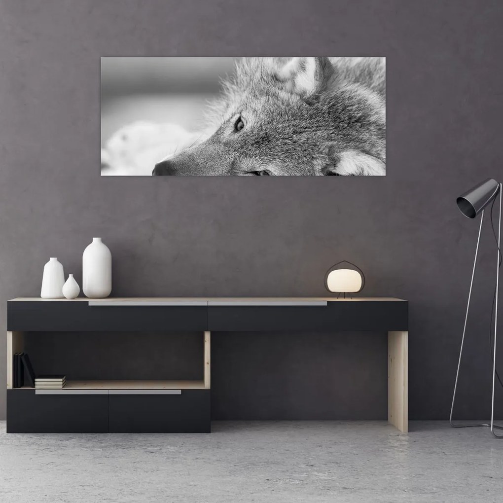 Tablou - Lup,alb-negru (120x50 cm)